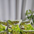 세븐일레븐쌍암호반점 | 콘피쵸 파는곳 어디야 편의점에서 먹어본 후기