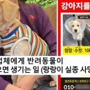 동부동물병원 이미지