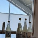 돼지여행