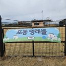 강아지 운동장 마당 대여 포동 멍래블 후기(대형견 추천, 강아지 놀이터, 곡성 개판)