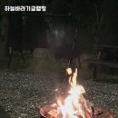 하늘바라기 글램핑 | 홍천 자연 속 힐링캠핑! &#39;하늘바라기글램핑&#39; 솔직 후기 🌿🏕️