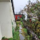 사계 돌담숲 이미지