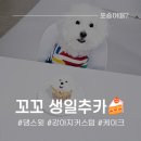 댕스윗 이미지