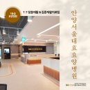 안양요양병원 네이버블로그