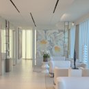 엘리엇의원 | 내돈내산 엘리엇의원 입술필러 완전 강력추천 솔직리뷰 ✨