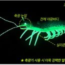 우마이 - 동구 백서로 227-1 | 우마이