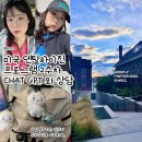 스카이덴탈 | [공지] 미국 덴탈하이진 프로그램 2주차 여름학기/코닥디카/Chat GPT가 상담해줌(English translation...
