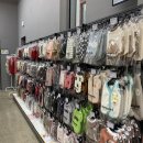 송산그린 펫 이미지