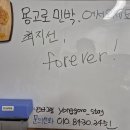 용고로민박