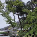 풍일로(일직면) 이미지