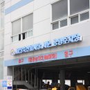 마장동 축산시장 가격 투뿔한우 자연축산