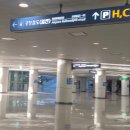 철이네국수집 | 피자집 가려다 실수로 파ㅊㅋ 가게로 들어가게 된 사연