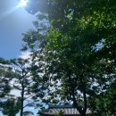 장안문 | 수원화성 정지영커피로스터즈 장안문점 후기🤎(아메리카노 맛집)