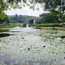 GS25포항지곡 이미지