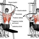 오늘보다내일짐 이미지