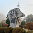 횡성 강림보건지소 | 251105 건강검진과 강림 풍경