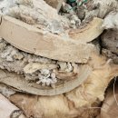 유성환경자원 | 대전 폐판넬 처리 비용 절감하는 법과 더플러스자원의 신속한 현장 수거 후기