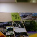 남성주참외(양평) 이미지