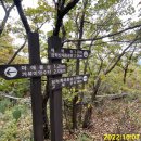 아랫대광골 네이버블로그