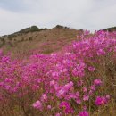 청도자연휴양림 이미지