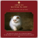 캣츠앤독스 이미지