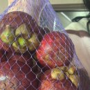 서수김밥 이미지