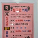 양운초등학교 | 😊 양운초 6학년 아이가 즐겁게 다니는 좌동 영어학원 후기