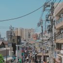 일본여행 5일차 : 야나카 긴자, 야나카 커피점, 네즈 신사 토리이, 우에노 공원 시노바즈노이케