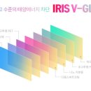 브이카