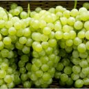 청수9로 이미지