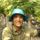 이승민농장 이미지