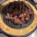 신마포갈매기 이미지