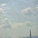 중화중학교앞 | - 사슴히의 여행: 구리 유채꽃 축제 진짜 후기 (제주도보다 예쁜 유채꽃밭, 2026 실시간 개화상황, 1...