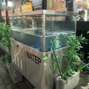 예술회관역 | [구월동장어] 강력풍천장어 구월점 가게앞주차 가능한 예술회관역맛집 솔직후기