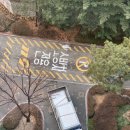 주식회사 엘앤에스와이(L&SY) | [후기] 셀프 스토리지: 해외체류로 1년 이상 짐 보관 입고