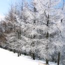 전일목장 이미지