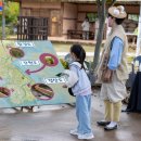 2025 삼강주막나루터축제 이미지