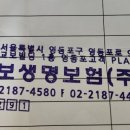 교보생명보험(주) 이미지