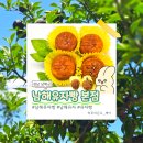 법인남해유자농장 | [남해 여행] 남해 여행 기념품 디저트 추천, 남해유자빵 본점 메뉴 주차 맛 솔직 후기