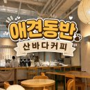 산바다 | 송도 센트럴파크 애견동반 카페를 찾는다면?산바다커피 직접 가본 후기