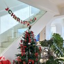 와이드 커피 스탠드 | 여수 크리스마스 데이트 코스로 좋은 와이드 커피 스탠드