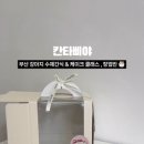 칸타삐야 이미지