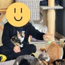 별이랑 놀자 이미지