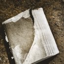 보물세상 이미지