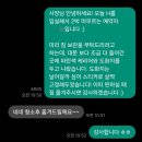 하도리안 | [내돈내산 솔직후기] 혼자 여행하기 좋은 제주 여성전용숙소 | &#39;하도리오길잘했어&#39;