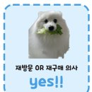 냉철한삼겹 용인보라점