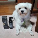 조타 생활과학연구소 이미지