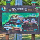 영천보현산별빛테마마을 본관동 이미지