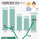 "베트남 여성, 한국인과 결혼을 국적취득 수단으로 이용 사례도" 이미지