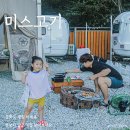 미스고기강화점 | 강화도 캠핑 바베큐 세트구매, 캠핑 분위기 살리는 미스고기